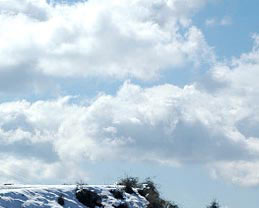Shimla Tours