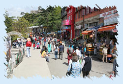 Best Time to Visit Shimla