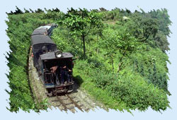 Shimla Railway