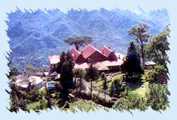Kasauli Hill Shimla