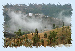 Kufri Hill Resort Himachal Pradesh
