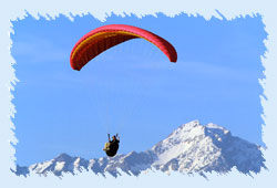 Paragliding in Shimla