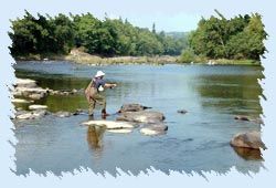 Fishing in Shimla