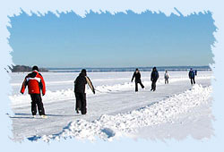 Shimla Ice Skating