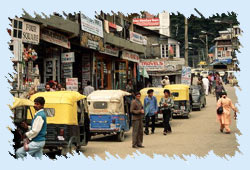 Local Transport in Shimla