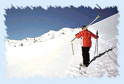 Skiing in Shimla